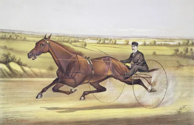 The Queen of the Turf, 